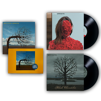 Opposites Anniversary Vinyl + Jigsaw Bundle | Biffy Clyro