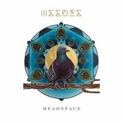 Issues Headspace Cover