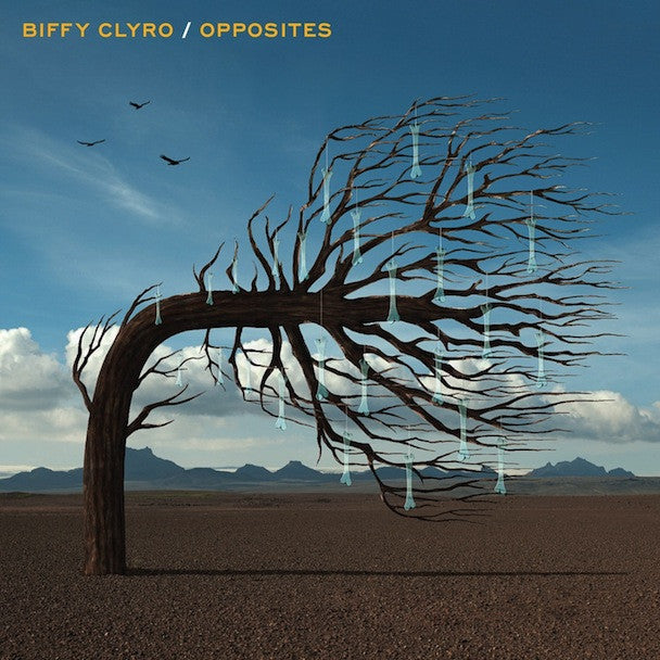 Opposites (Vinyl)